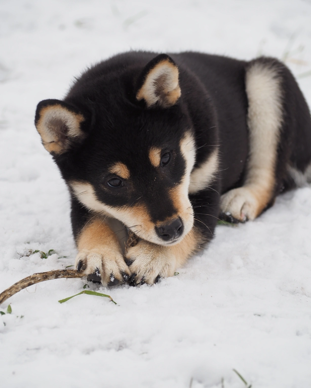 IMG_20240202_142344_528[1]